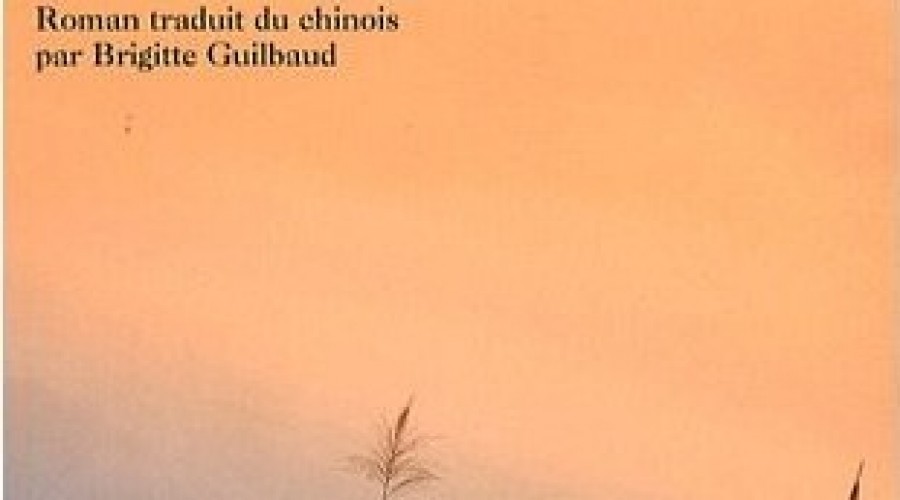 Prix Amedee Pichot de la Ville d&rsquo;Arles