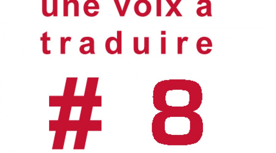 Une Voix à traduire #8: lecture publique du programme Goldschmidt et rencontre avec l&rsquo;écrivain Pierre Ducrozet